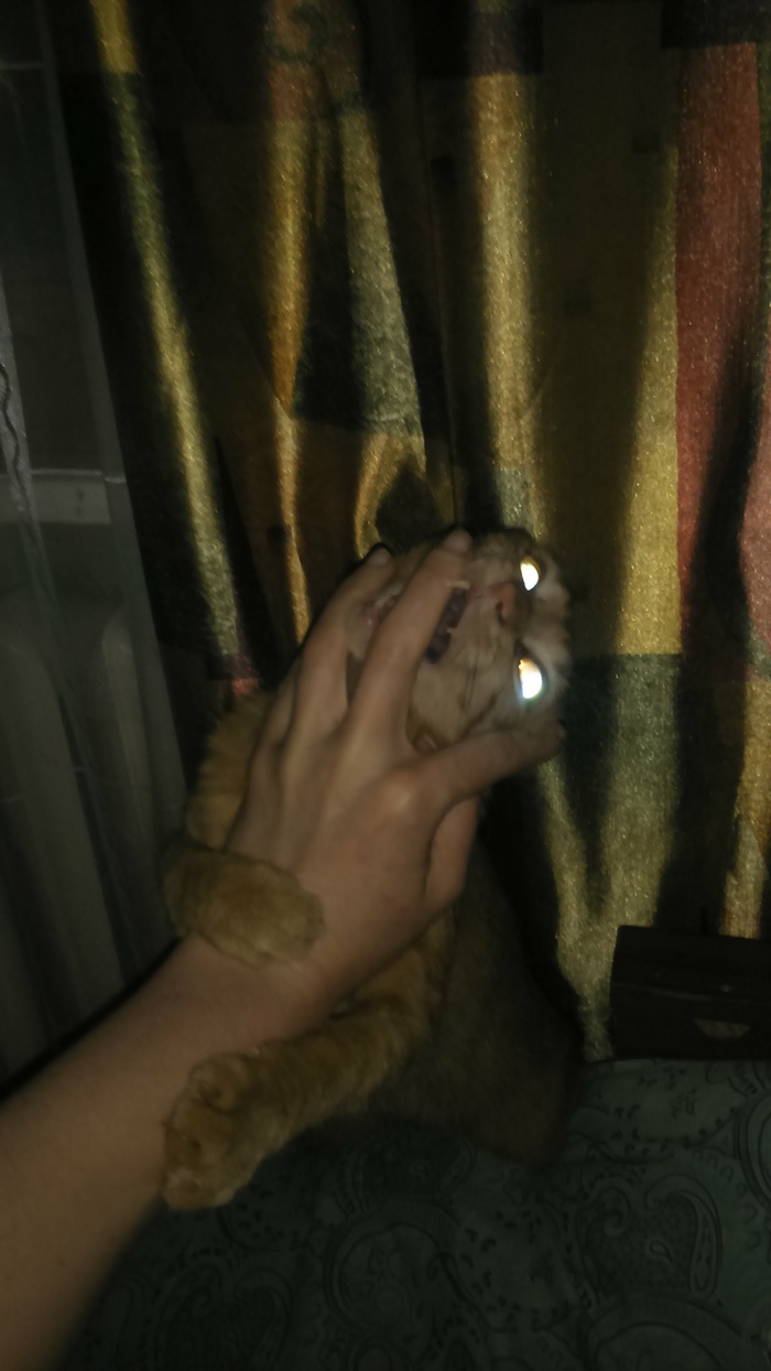 ���� �� ������� �������� �������, �� ����� �� ���� ������ ������ ����, �� ����������...