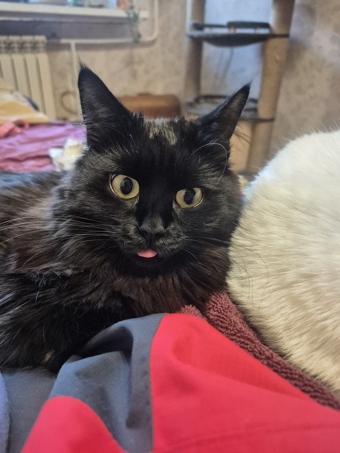 ����� IkkRINKA � ���������� �� �� ������ ������� ���� ����. ���� � �� ��. ������� � ������ ����. �������� ���!�