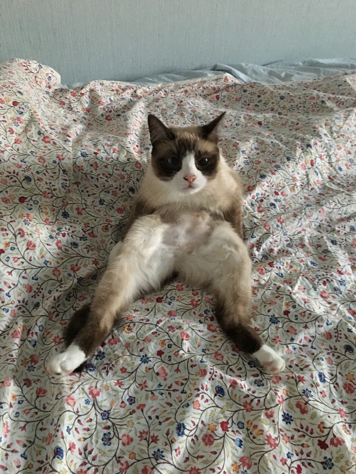 ����� �� ���� ���������� �� �� ������ ������� ���� ����. ���� � �� ��. ������� � ������ ����. �������� ���!�