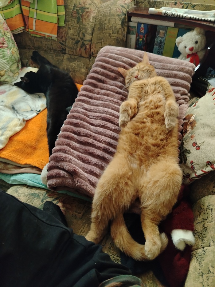 ����� ����� �� �������� ��������