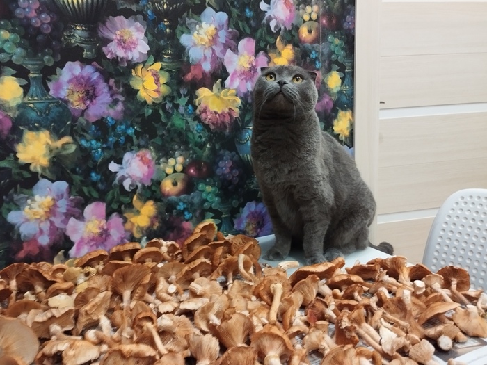 ������ ���� ����