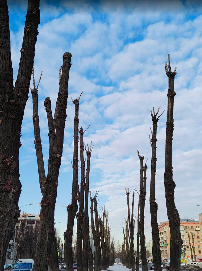 ��� ����� ������ ����