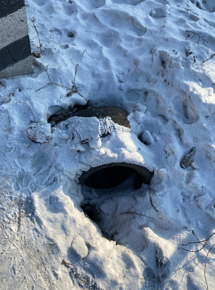 ������ ����