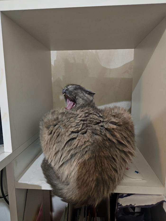 ����� �� ���� ���������� �� �� ������ ������� ���� ����. ���� � �� ��. ������� � ������ ����. �������� ���!�