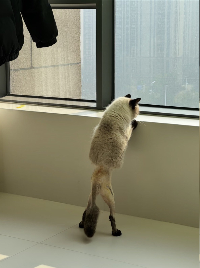 ����� ����� �������� � ����, ����� ������, ����� �� �������� �����������