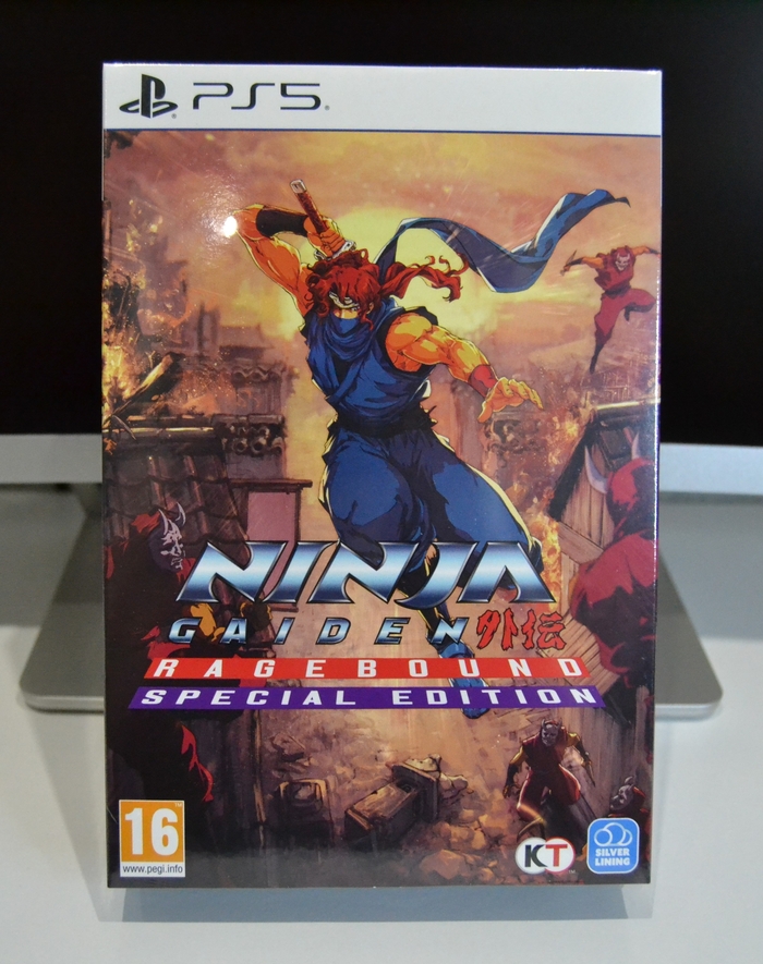 Ninja Gaiden: Ragebound