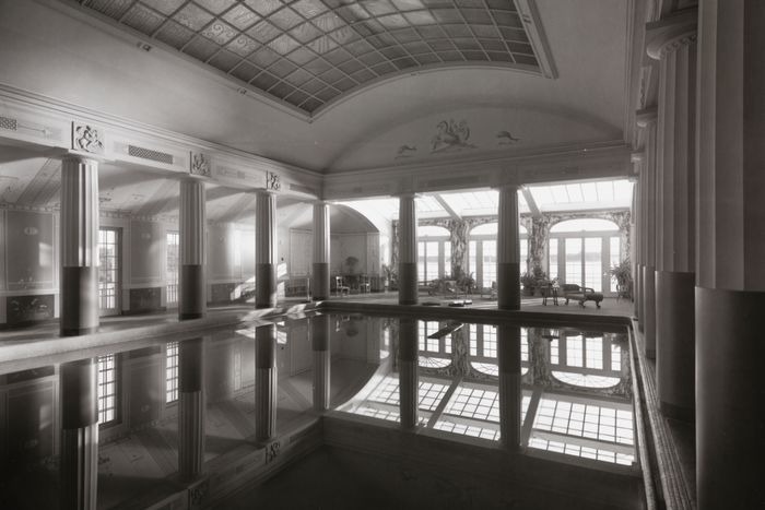 �������� ���� ������� ��������, ������������ ����, ���������� ����������� ��������� � �������� ������������. ����� � ��������� ����� �������.