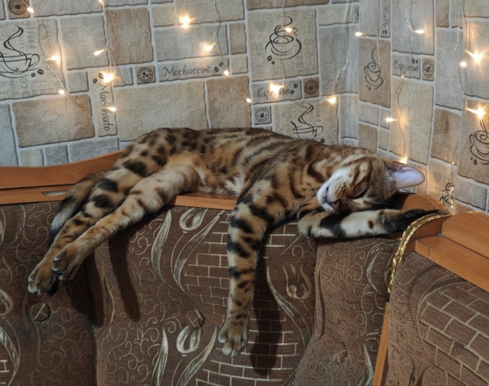 �������������� ���������� ������ ���� ������, ���� ���