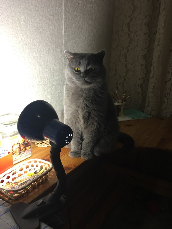 ���� �� ������������ ������