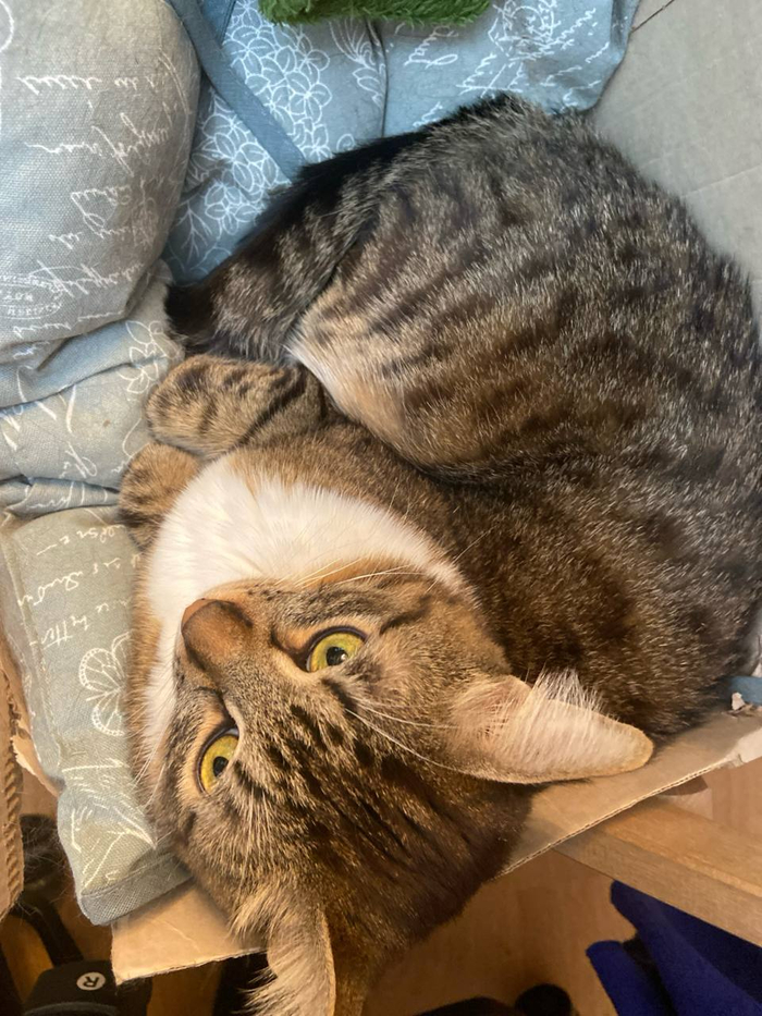 ���� ����, ����� ���� �������� ����� �� � ����.