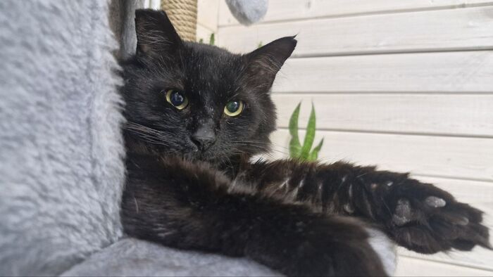 ������ �� ���� (������������) �� ������ ������� � ������������ �����, �������� ������� ��������� �� �����