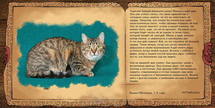 ������� ��� �� ��� ���� ����