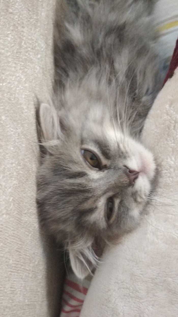 ����� �� ���� ���������� �� �� ������ ������� ���� ����. ���� � �� ��. ������� � ������ ����. �������� ���!�