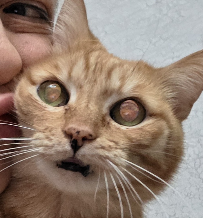 ����� �� ���� ���������� �� �� ������ ������� ���� ����. ���� � �� ��. ������� � ������ ����. �������� ���!�