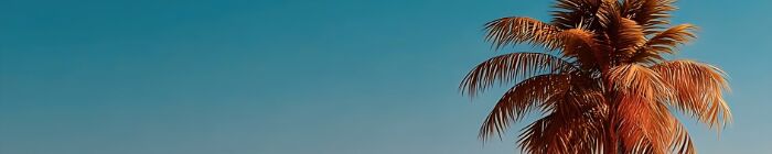 Pikabu banner for @Overwhelm