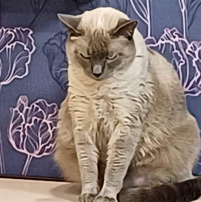 ����� �� ���� ���������� �� �� ������ ������� ���� ����. ���� � �� ��. ������� � ������ ����. �������� ���!�