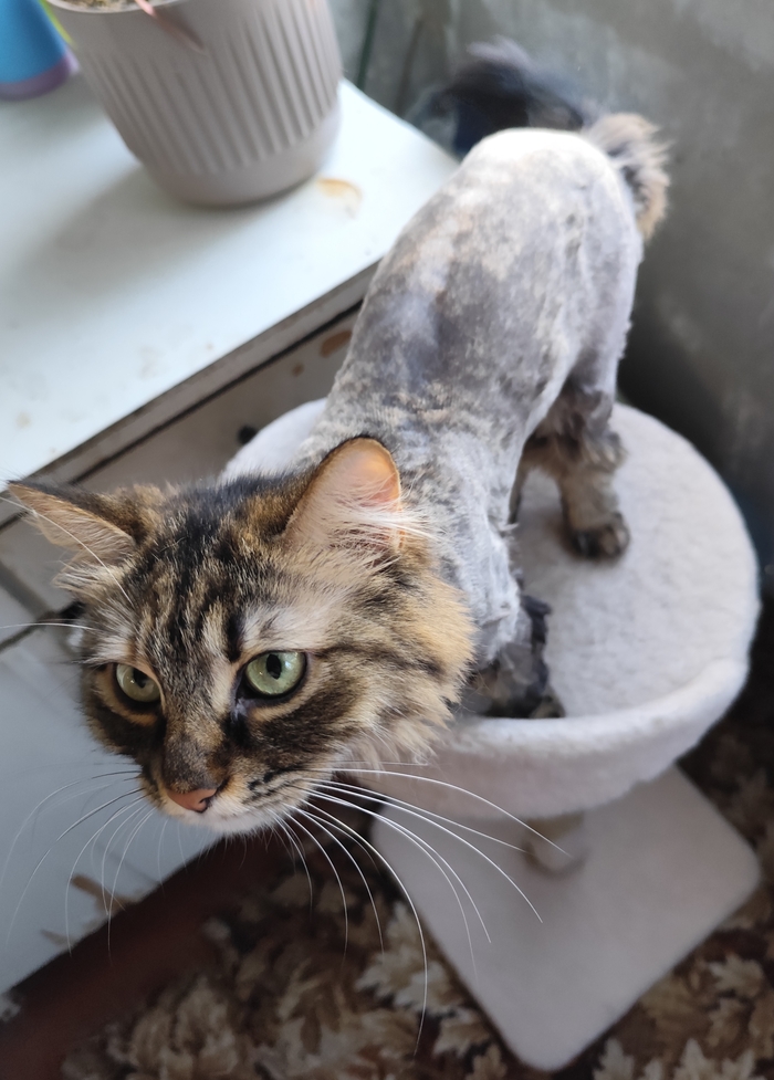 ����� �� ���� ���������� �� �� ������ ������� ���� ����. ���� � �� ��. ������� � ������ ����. �������� ���!�