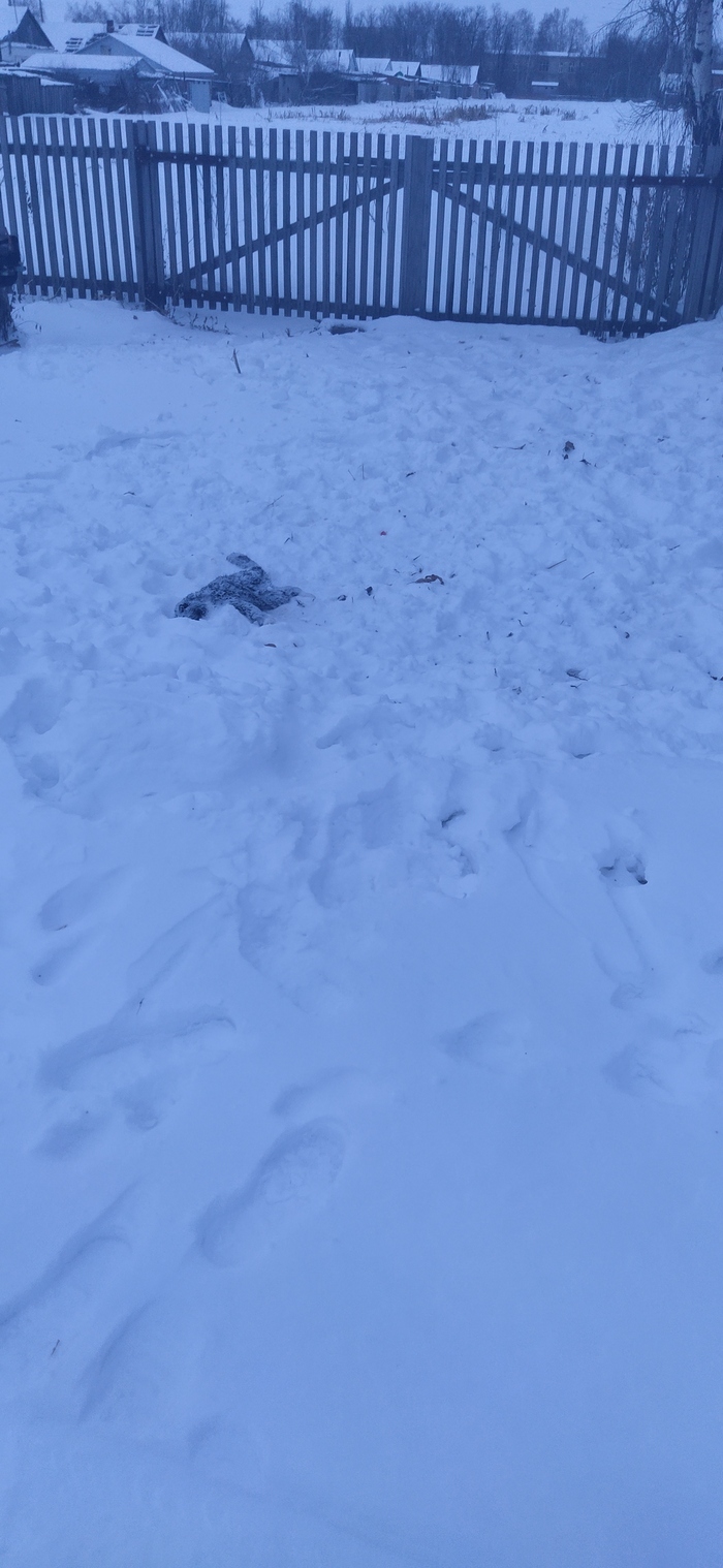 ���������� �����!