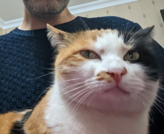 ����� �� ���� ���������� �� �� ������ ������� ���� ����. ���� � �� ��. ������� � ������ ����. �������� ���!�