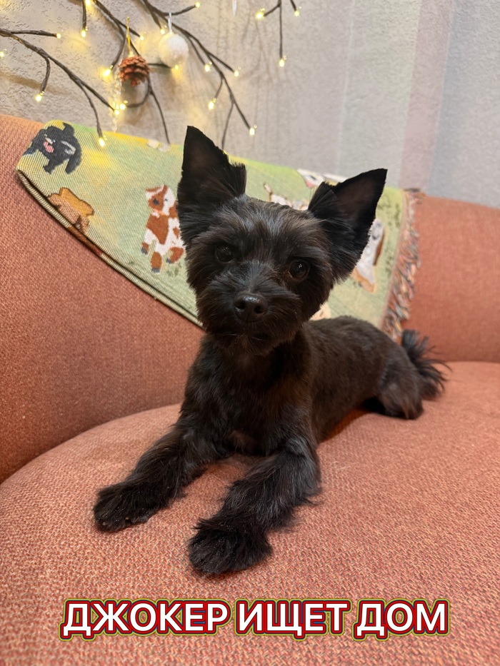 ������ ���� ���