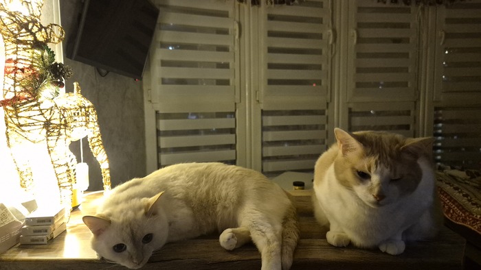 ��� ����������� ���� �����, �� ����� �������)