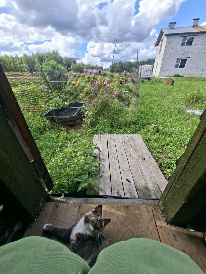 ����� �� ���� ���������� �� �� ������ ������� ���� ����. ���� � �� ��. ������� � ������ ����. �������� ���!�