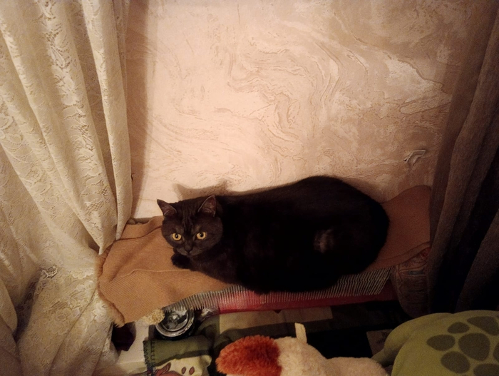 �������� �� ����� �� �������, �� ��� ����� ���� ���������� �� ������ �� ��� ����������