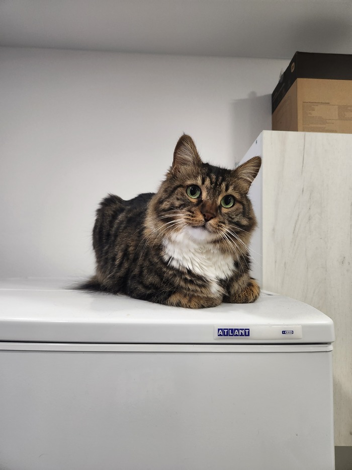 ���������� ������� #149