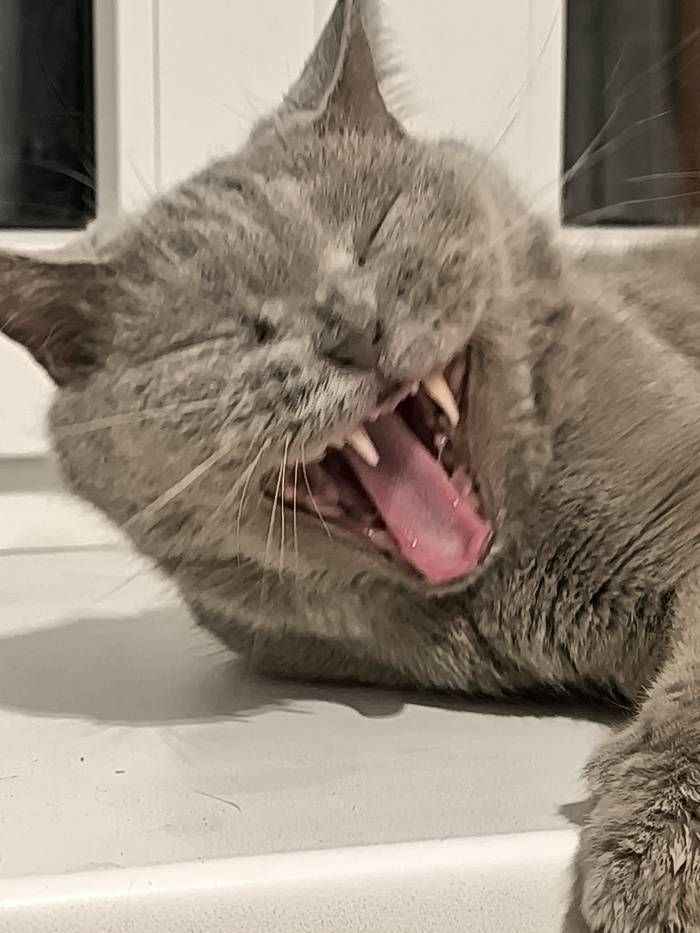 ����� �� ���� ���������� �� �� ������ ������� ���� ����. ���� � �� ��. ������� � ������ ����. �������� ���!�