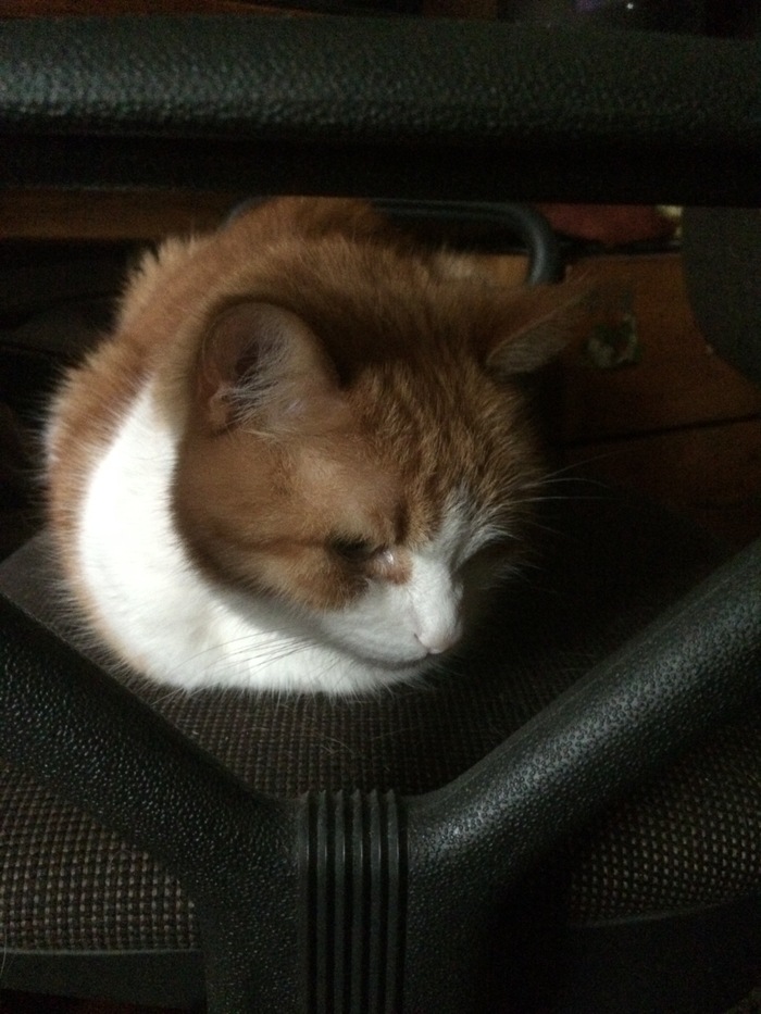 ���� � �����!