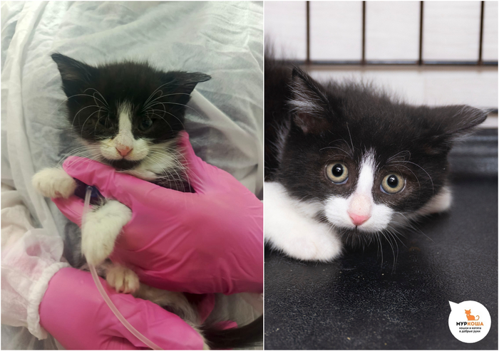 ������-������� �����, 3 ������, ������ �� �����.