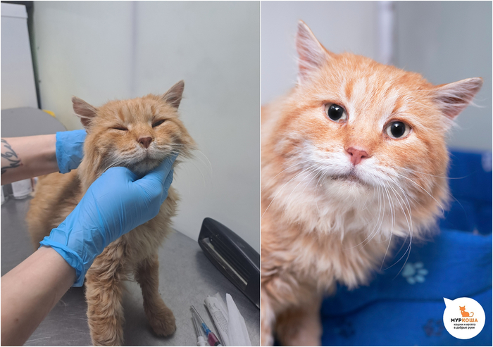 ��� ���, 8 ���, ������ �� �����. �������������� ���. �������������� ������������ ������� ��� � ����� � �������-���������� ���. �������� ��������, ��� ��� �� ������ ��� �������� � �������� ������ ����� � �� ��������� ��.