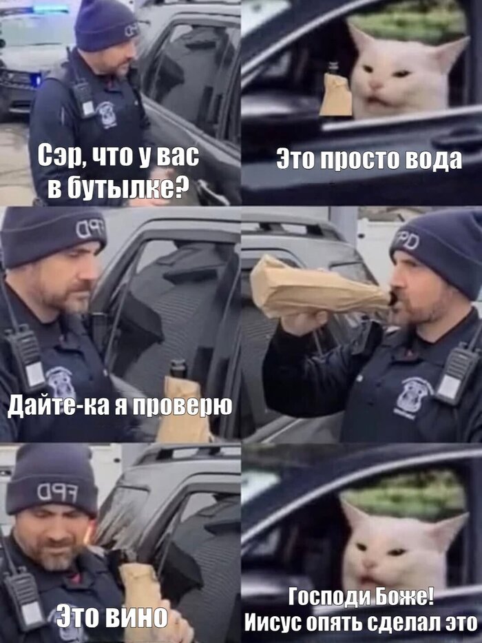 �������������� ����