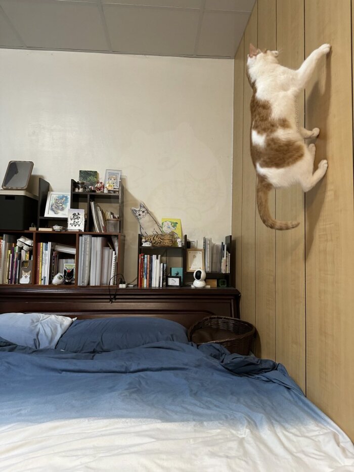 ���������� �� ��� �����