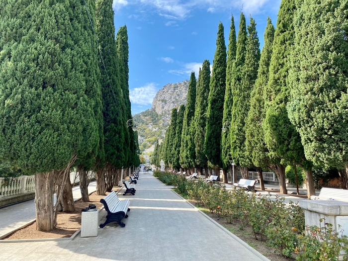 ������� � ��� ��� ����������� � ������� 2025 ���� ��������