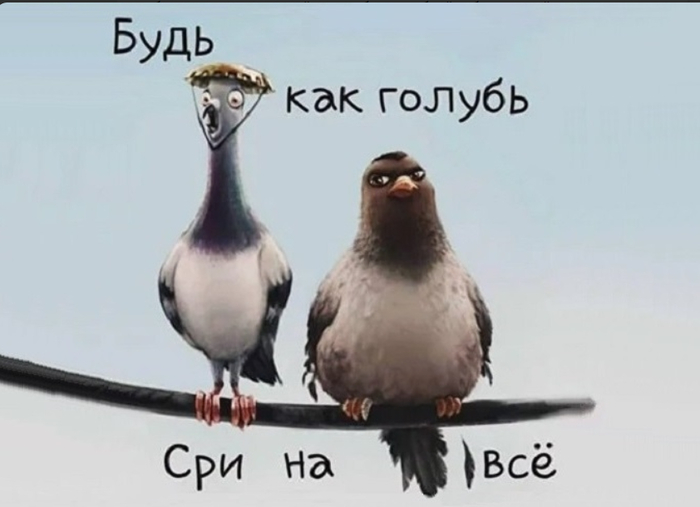 ������ ����� (����=������������=������=�� +������= ���������������=�����=���) � � ����� � ����. ��� ������ ����= ������=������� = ����=�����������=������= ��� �����=����� =�������=�����=������.