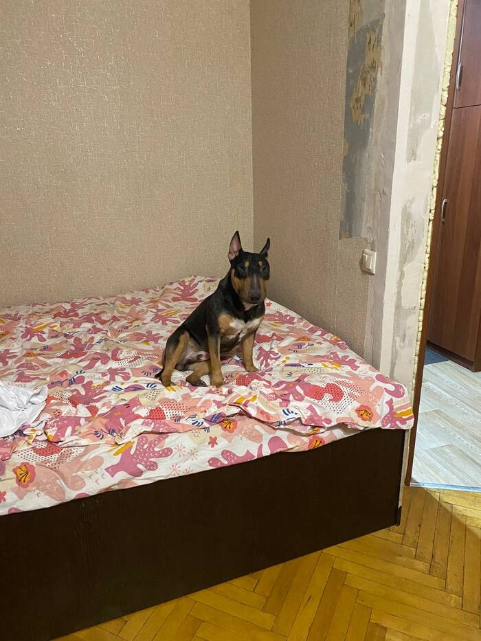 ��������� ������ ��� ������� ��������