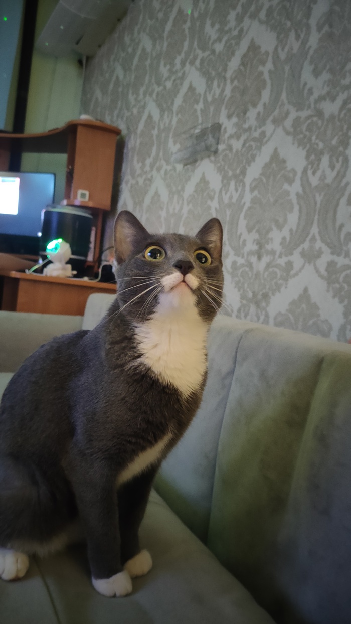 ������ ������� ���� ������� ����