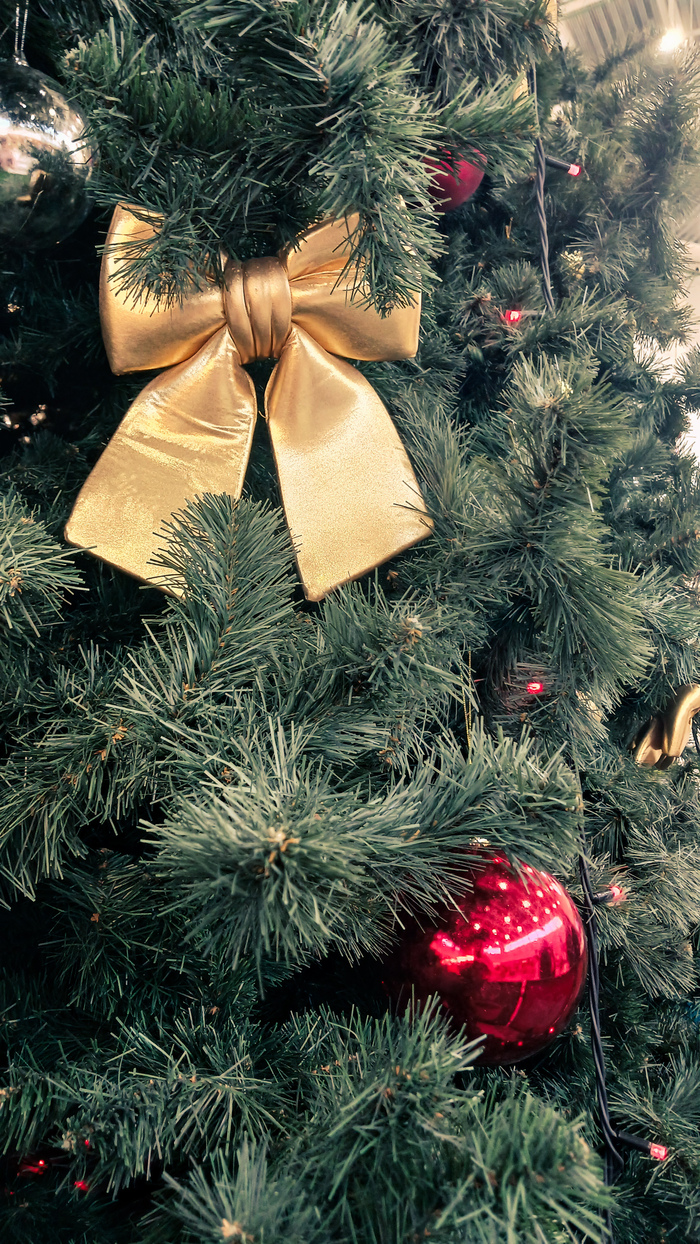 7 ���� �� ������ ����...