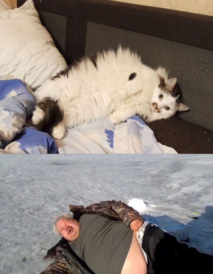 ������ ���� ����