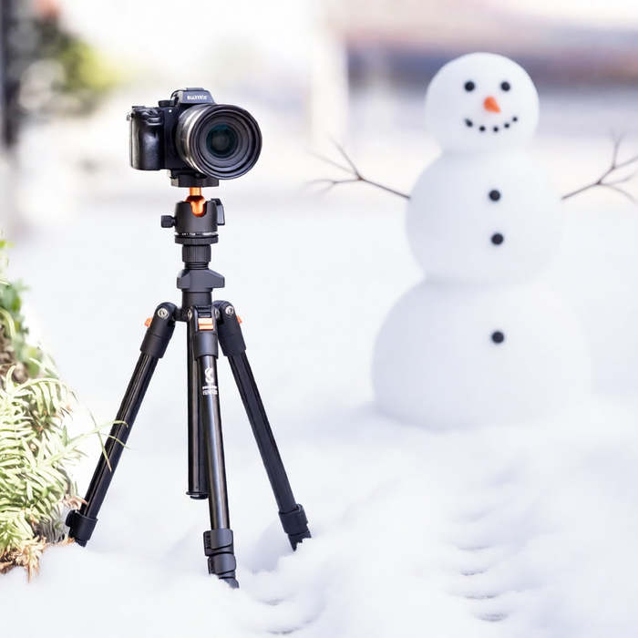 ���������������� ����������� ������