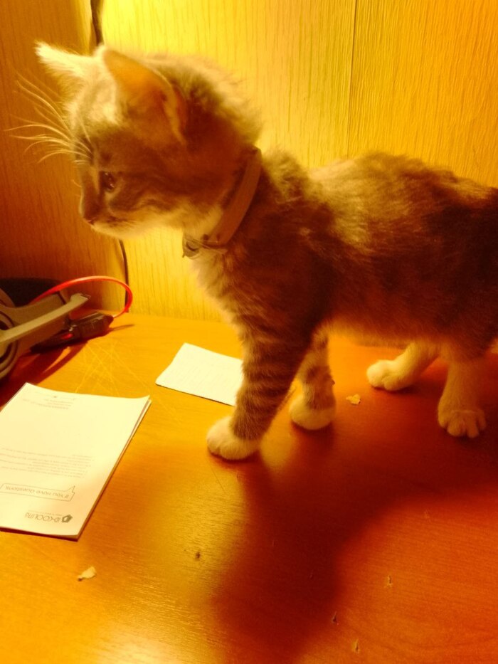 ���� - �������. �� ����� ������!