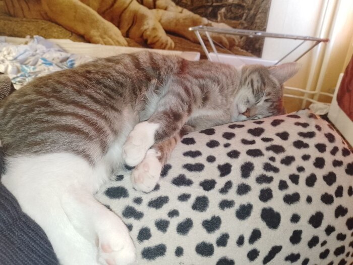 �� �����, ��� ���� �������!