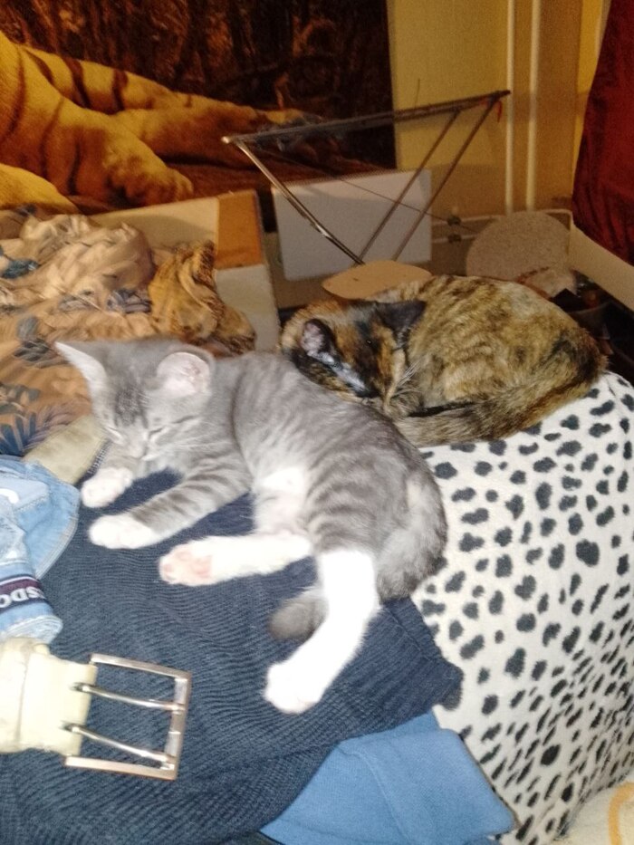 ����� ���..)