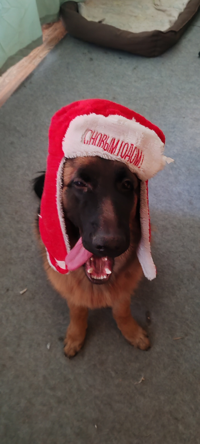 ��� ������ ����������� ���� � ����� �����!