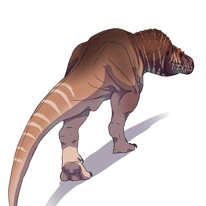 �������������� ����