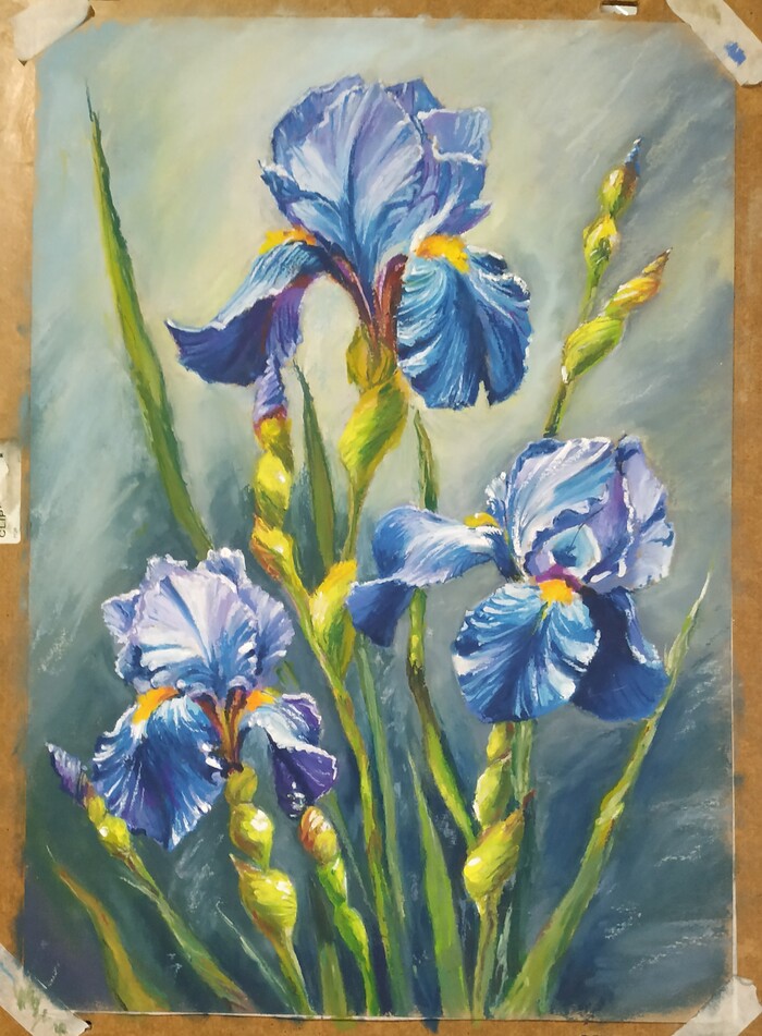 ������� �����, �������� �������