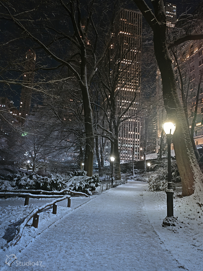 Central Park / New York