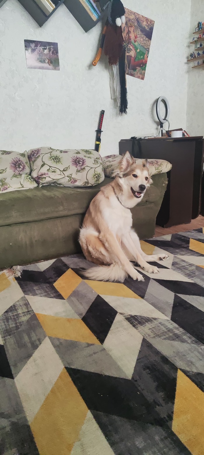 ����� �� ���� ������� ���� ���� ������