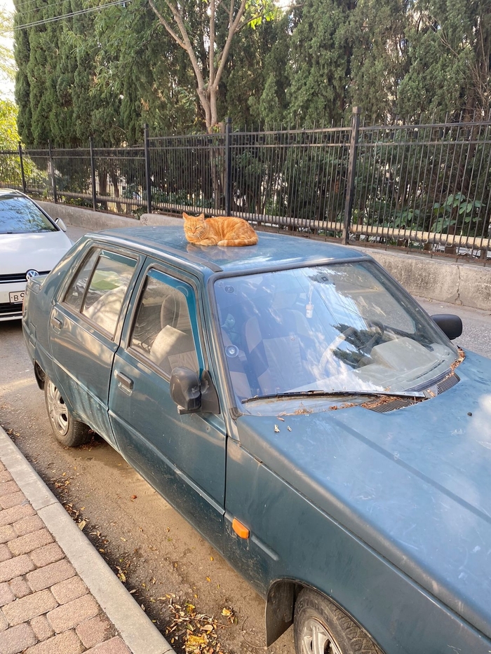 ������� � ��� ��� ������ ��������� � ����� � ���� ��������